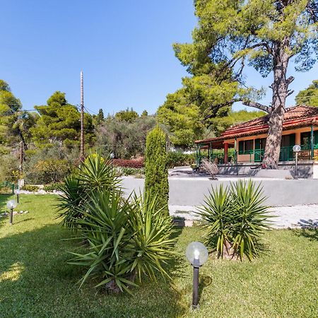 Skopelos Country House Diamantis & Chrisi Agnóndasz Kültér fotó