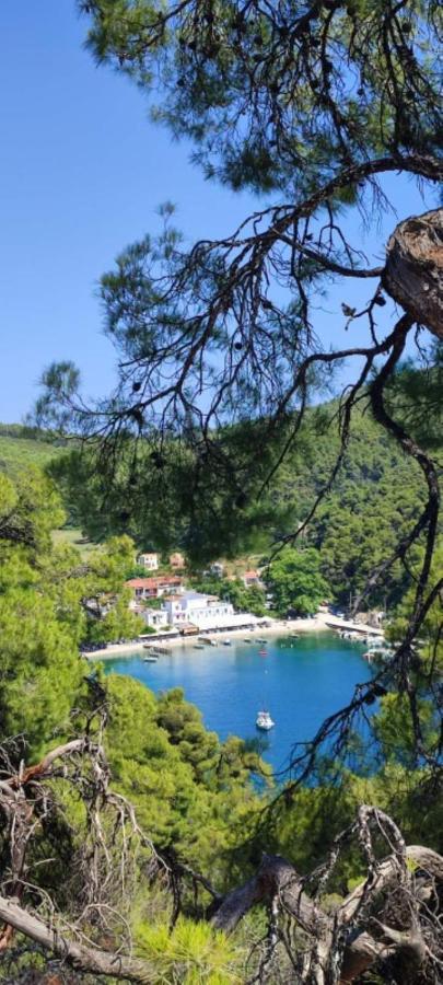 Skopelos Country House Diamantis & Chrisi Agnóndasz Kültér fotó