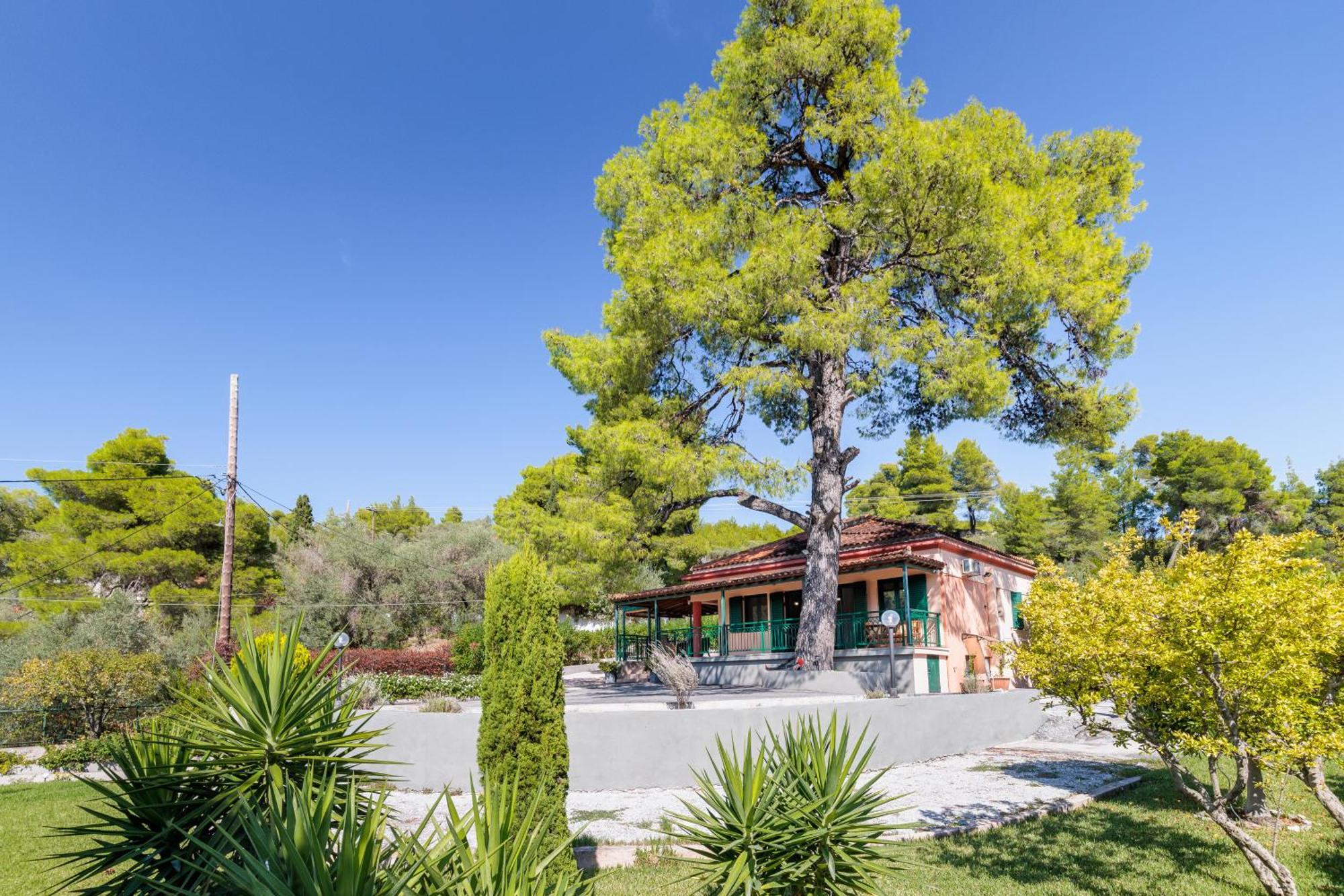 Skopelos Country House Diamantis & Chrisi Agnóndasz Kültér fotó